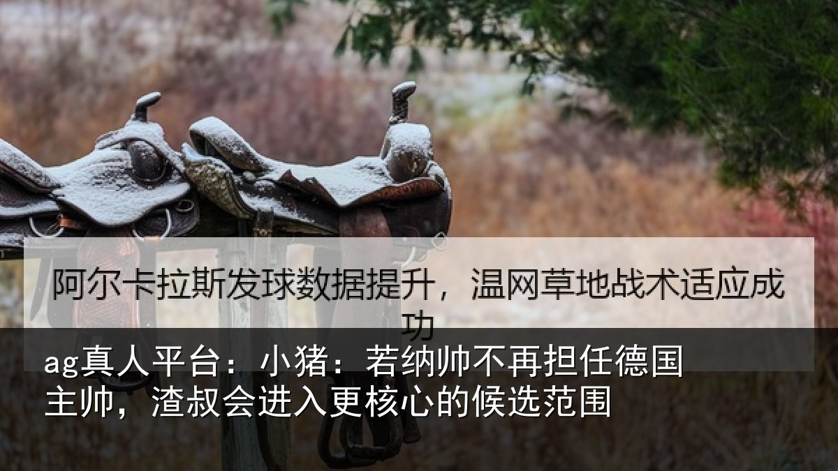 ag真人平台:小猪相关情况国主相关情况心的候选范围