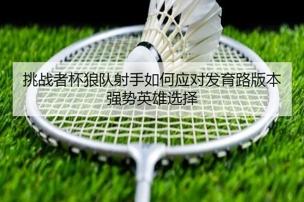 tiao-zhan-zhe-bei-lang-dui-she-shou-ru-he-ying-dui-fa-yu-lu-ban-ben-qiang-shi-ying-xiong-xuan-ze-2-685.jpg