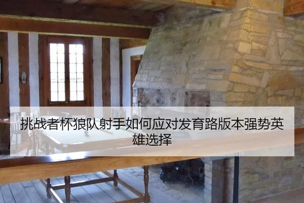 tiao-zhan-zhe-bei-lang-dui-she-shou-ru-he-ying-dui-fa-yu-lu-ban-ben-qiang-shi-ying-xiong-xuan-ze-3-313.jpg