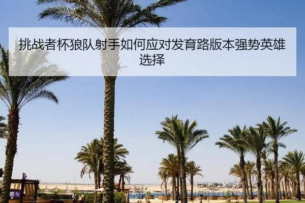 挑战者杯狼队射手如何应对发育路版本强势英雄选择