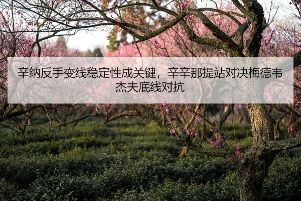 辛纳反手变线稳定性成关键，辛辛那提站对决梅德韦杰夫底线对抗