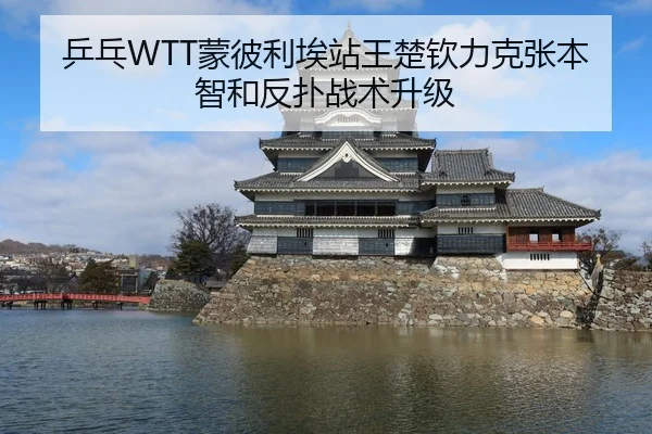 乒乓WTT蒙彼利埃站王楚钦力克张本智和反扑战术升级