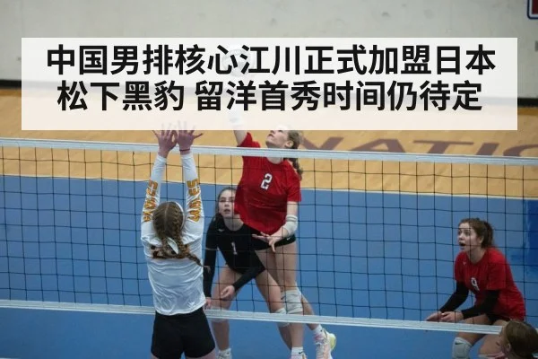 volleyball action